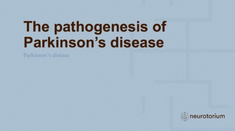 Parkinsons Disease – Neurobiology and Aetiology – slide 8